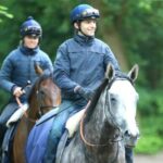 formations professionnelles en apprentissage